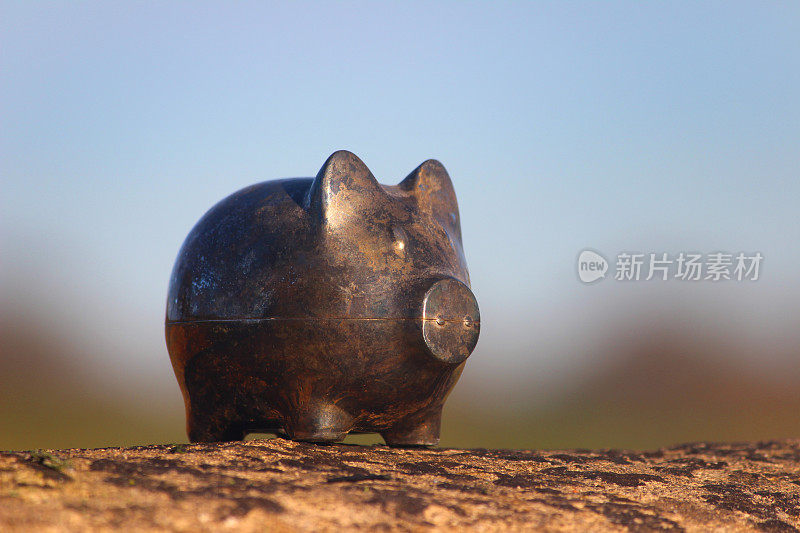 银色金属储蓄罐猪，褪色/生锈，蓝天背景